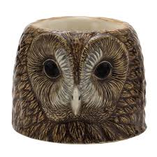 Tawny Owl Egg Cup