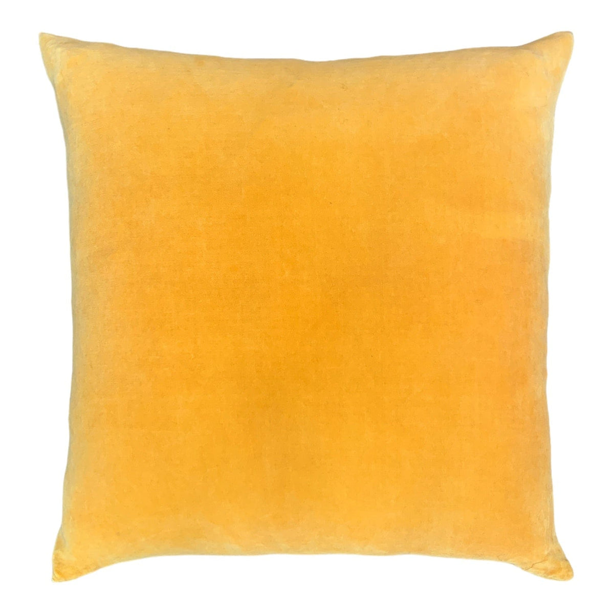 Yellow Velvet Cushion 62 x 62cm Cushion Little & Fox