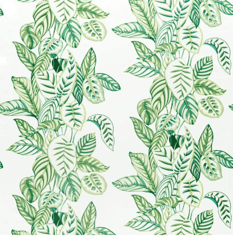 Calathea Botanical Green Fabric