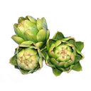 Faux Artichoke Foliage