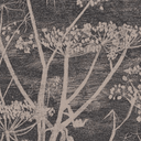 Cole and Son Cow Parsley Wallpaper PREORDER