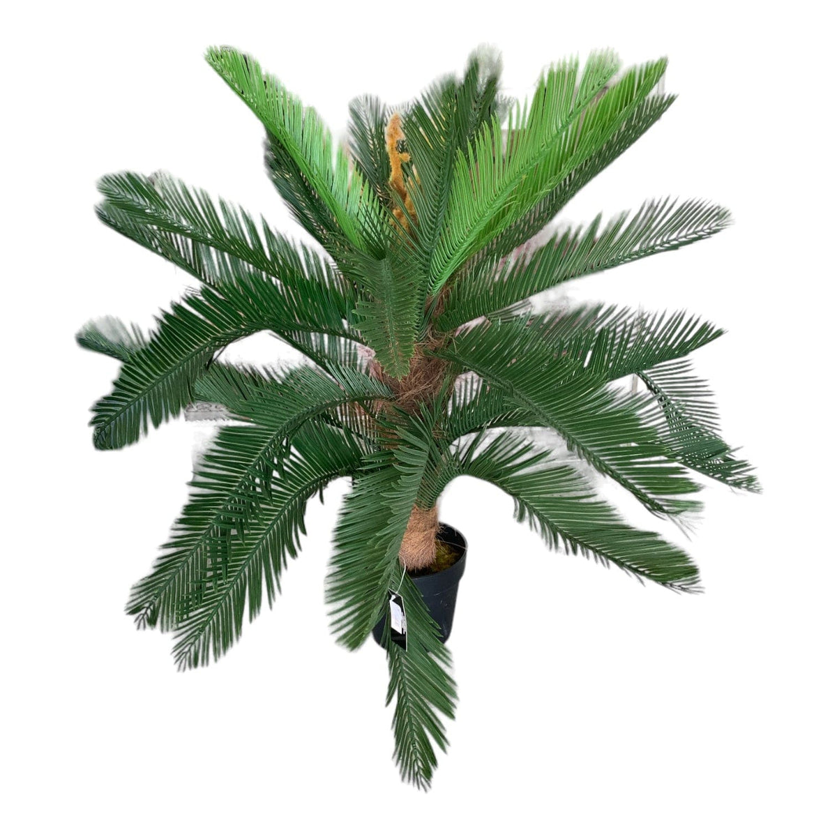 Faux Cycas 100cm Palm