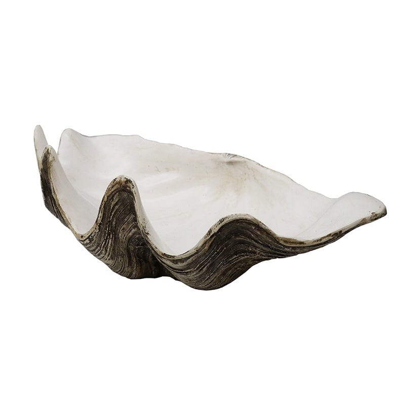 Large Clam Shell - Natural