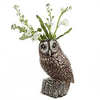 Tawny Owl Flower Vase