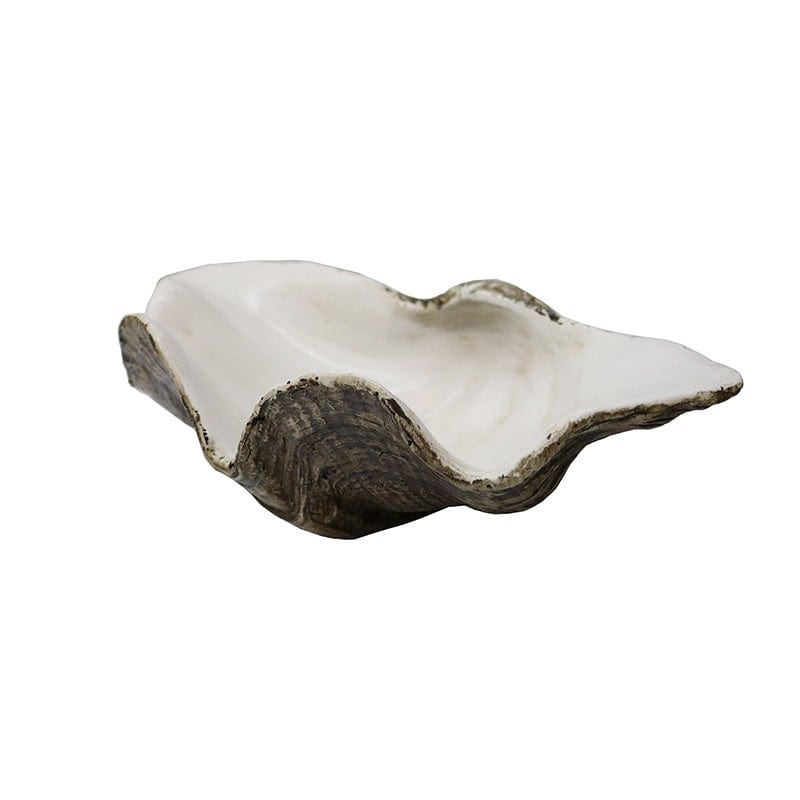 Small Clam Shell - Natural